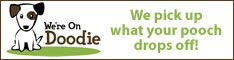 We're On Doodie
